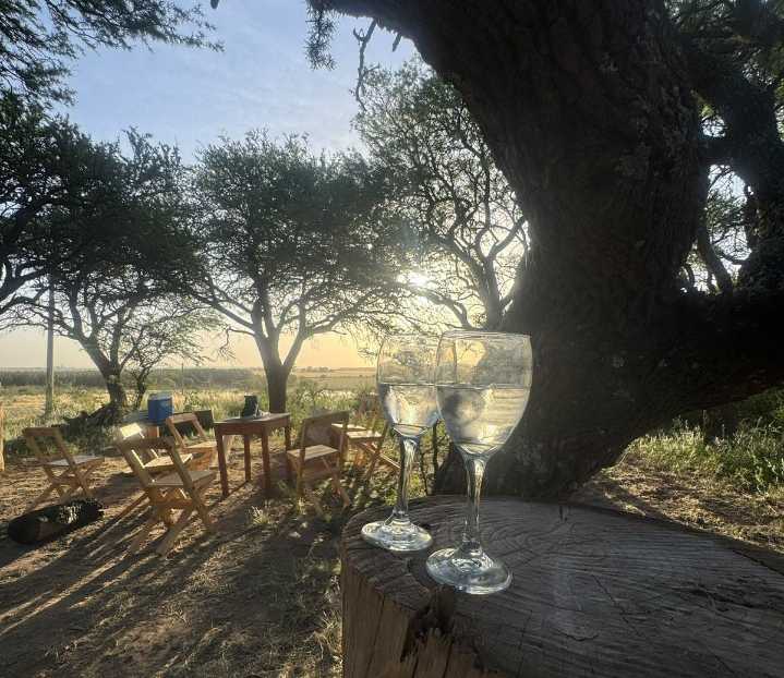 Llega Sundowner Sessions, la propuesta que combina vinos, música y naturaleza en La Pampa