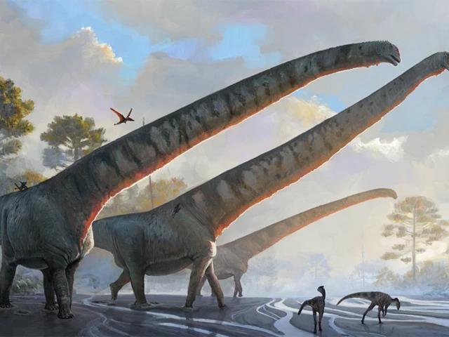 New giant long-necked Dinosaur fossil discovered in China