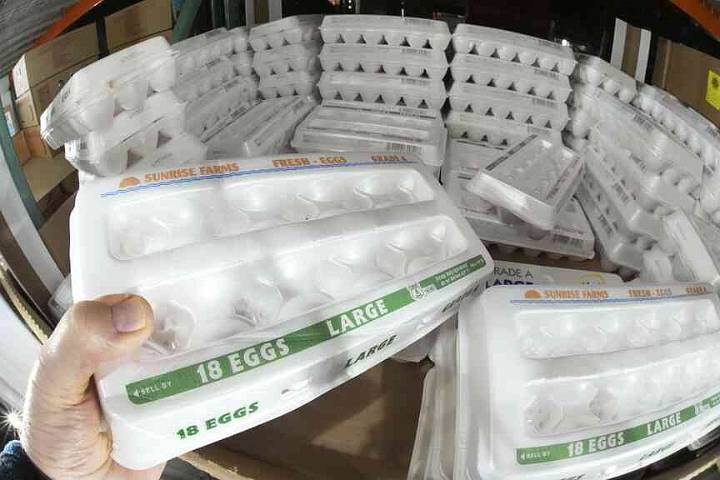 Bill unlikely to lower egg prices