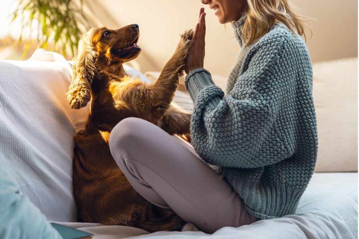 Dog Owner Says Workplaces Should Offer Compassionate Time Off If Pet Dies