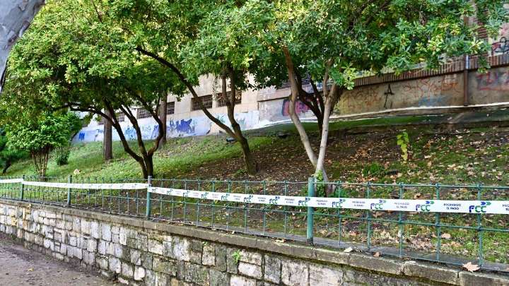 Dos adolescentes de origen colombiano aparecieron muertas en un parque de España: familias piden investigar
