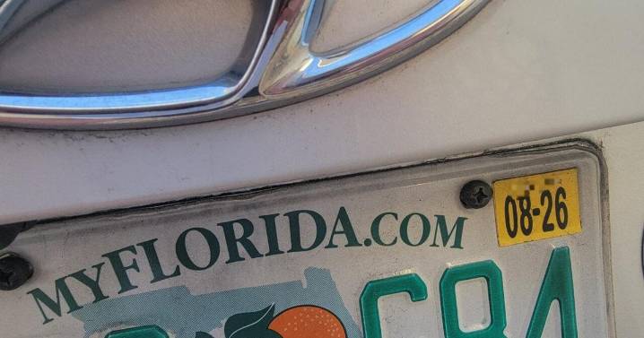 Should Florida get rid of its yellow license plate tags? Miami-Dade’s Tax Collector says yes 