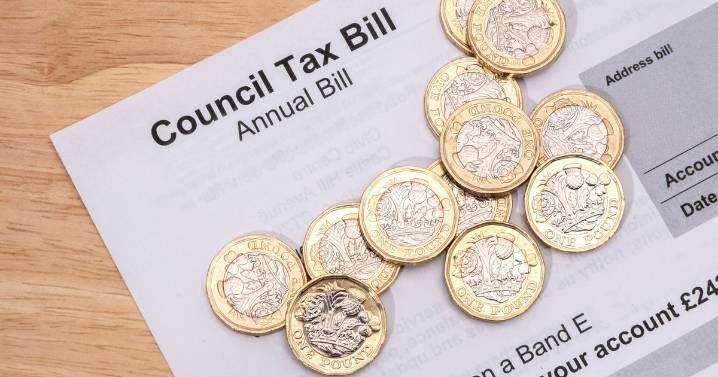 Simpler bands for Tyneside council tax reduction approved for next year