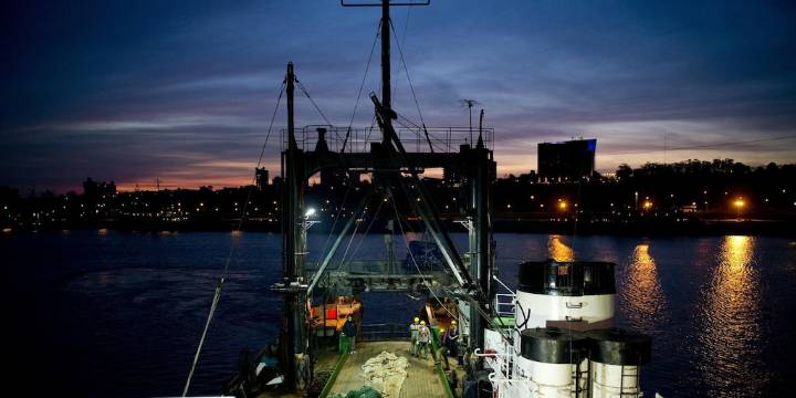 La actividad pesquera es uno de los rubros que más creció en 2025