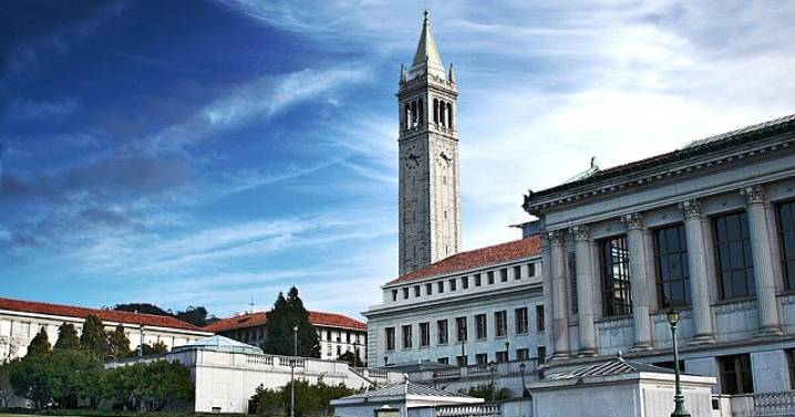 UC Berkeley lecturer suspended over pro