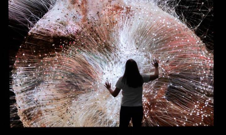 La mayor feria de arte empieza en Miami con destacada presencia latina y temas migratorios