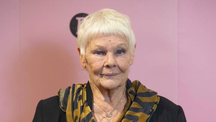 Judi Dench Reveals She 'Can't Recognize Anybody' Amid Vision Loss Update