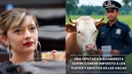 Una diputada K quiere poner impuesto a los “gases” de las vacas y generó el rechazo del campo