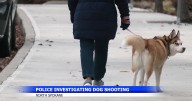 Dog shooting incident near Spokane school leaves community concerned