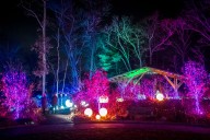 Night Lights at New England Botanic Garden in Boylston voted best in the nation