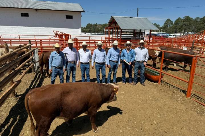 Chihuahua impulsa al sector ganadero con inversión de 10.8 mdp