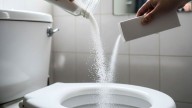 Colocar sal y bicarbonato en el inodoro: por qué recomiendan hacerlo y para qué sirve