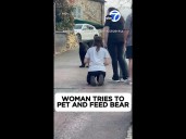 Woman tries to pet and feed bear
