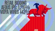 Aequs IPO, Vidya Wires IPO: Big retail participation, GMP positive