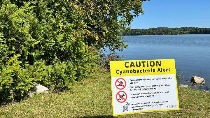 UVM research highlights nitrogen's role in algal bloom formation