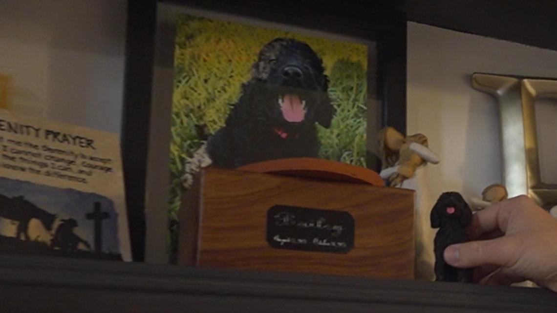 Couple urges caution after doodle dies at Texas boarding facility on their wedding day