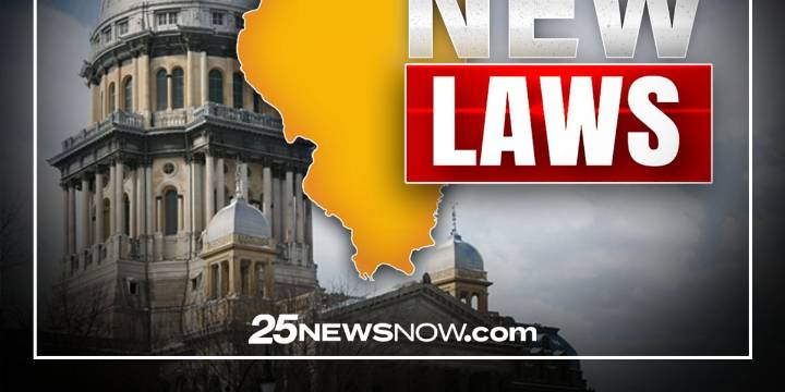New laws: Gun storage, police background check changes take effect in 2026