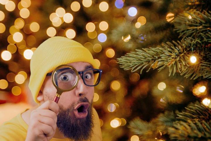 Hoosiers Should Inspect Christmas Trees For Invasive Insects