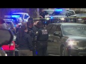 Homeowner shoots 2 juveniles trying to take packages: police