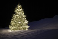 Exploring Unique Christmas Traditions In Each U.S. State