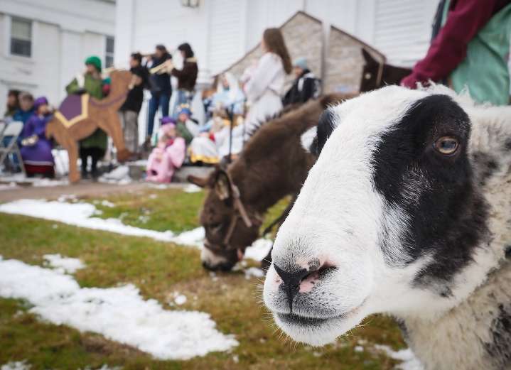 Angels, sheep and goats, oh my! Living nativity embraces imperfection of life