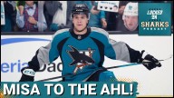 San Jose Sharks' Michael Misa RETURNS, World Juniors BUZZ | Sharks Get STEAMROLLED By Capitals