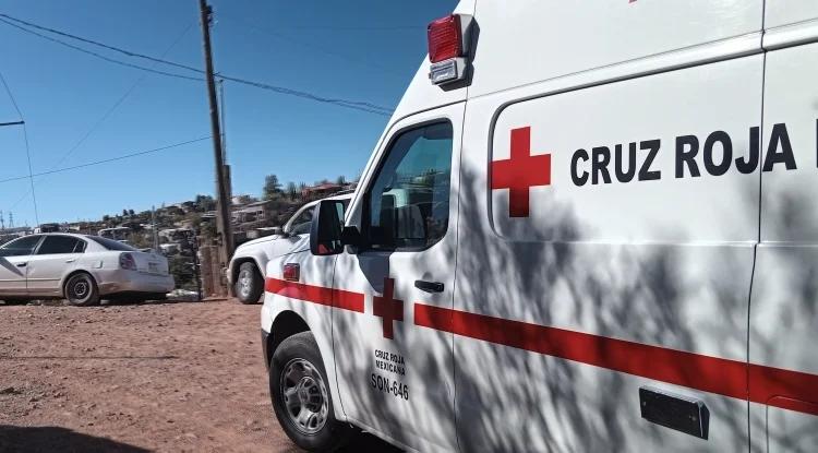 Nuevo ataque de perro deja lesionada a una mujer e...