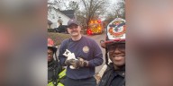 DeKalb County firefighters rescue tiny, furry resident from storm drain