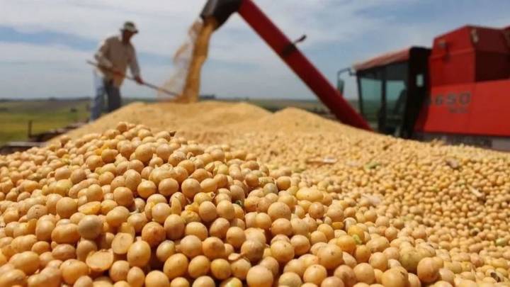 El Gobierno anunció una nueva baja de retenciones para los agroexportadores