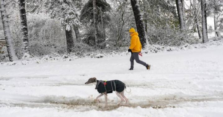 UK snow bomb to last 'three days' with four counties in England in firing line