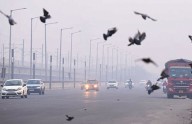 Air pollution can trigger anxiety and panic