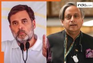Mallikarjun Kharge and Rahul Gandhi not invited to Putin banquet, Shashi Tharoor attending
