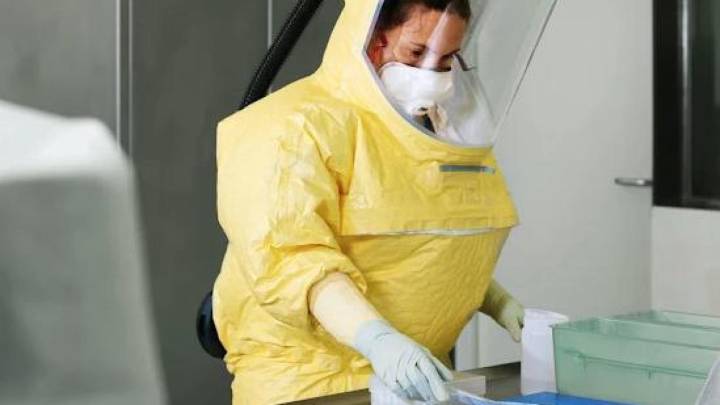 Así es el laboratorio catalán señalado por los conspiranoicos como origen de la peste porcina africana