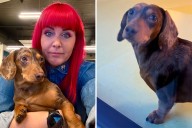 Hearts Melt at Look Dog Pulls To ‘Make Sure’ Owner Has Come To Get Him