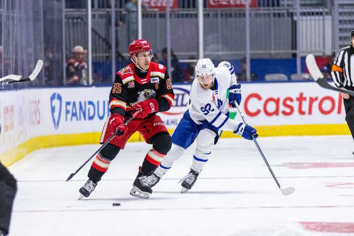 Dominik Shine scores in 500th game as Griffins keep rolling