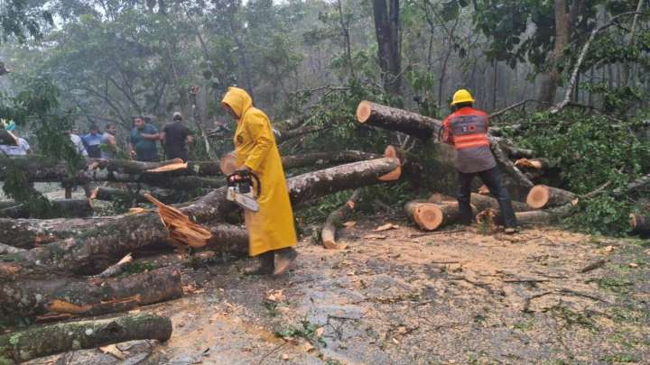 Pronóstico del Tiempo MIÉRCOLES 10 de Diciembre de 2025: ¿En Qué Estados Lloverá?