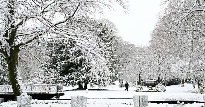 UK snow: Met Office issues white Christmas snow forecast verdict