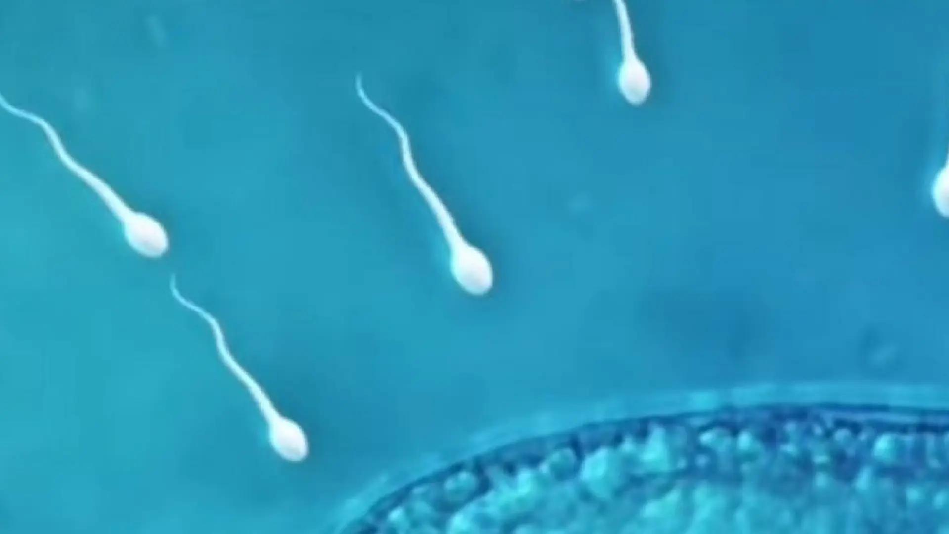 Escándalo en la reproducción asistida: un donante con una mutación cancerígena concibió 197 hijos por toda Europa