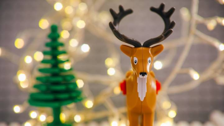 This week's holiday event guide: Reindeer games, red