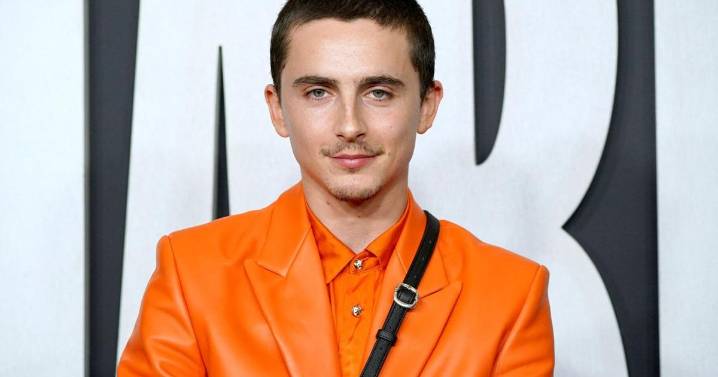 Timothée Chalamet won’t confirm or deny rumors he’s mysterious British rapper EsDeeKid