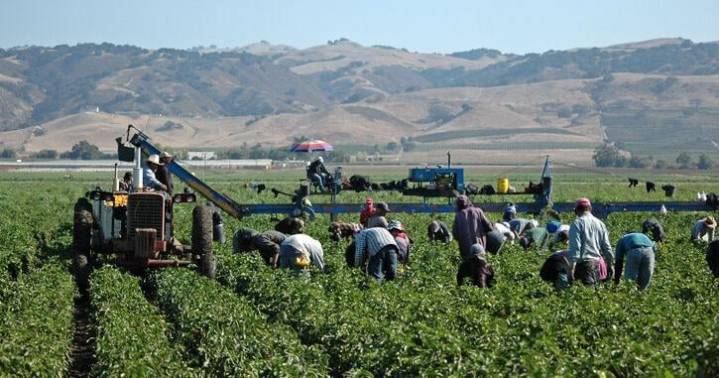 Agriculture Needs a Bold Move on Immigration Reform [Opinion]