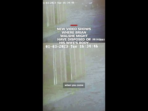 New video shows where Brian Walshe might have disposed of his wife's body