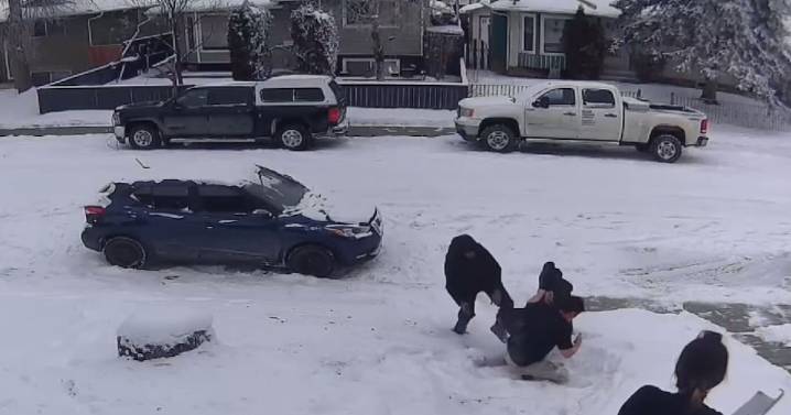 Calgary couple attacked during attempted robbery