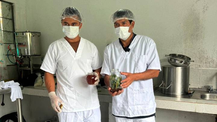 Asocampo: de territorio marcado por la violencia a ejemplo de Economía de Paz en El Tablón de Gómez