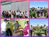 CHACO: Dudik Destacó El Buen Presente De La Producción Tabacalera En El Zapallar Norte Y Los Paraguayos