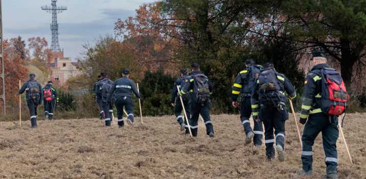VIDEO: Hallan medio centenar de jabalíes muertos en la zona cero de la peste porcina en España
