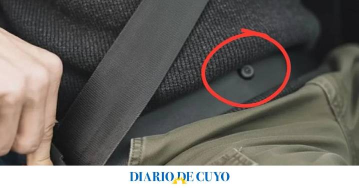 Para qué sirve el botón del cinturón de seguridad