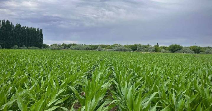 Productores y fotógrafos: la segunda semana de diciembre 2025 en la Patagonia, en cuatro fotos