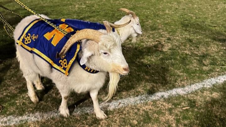 Inside the high-stakes world of Army-Navy week and a pair of goats