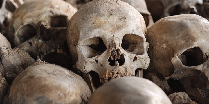 Mujer declarada culpable de tráfico de restos humanos provenientes de Harvard; los vendía en su tienda de muñecas